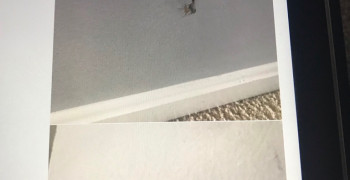 Thumbnail photo by Andrew Foster of Progressive Van Lines Incorporated