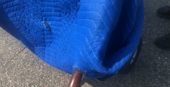 Second thumbnail photo by Paul D Ru of Always Moving Inc.