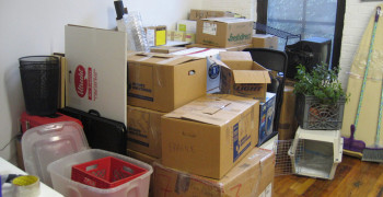 Thumbnail photo by Kathryn of Assurance Van Lines