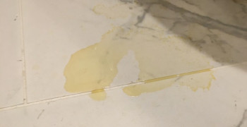 Thumbnail photo by Nicole Cox of Solomon and Sons Relocation Service