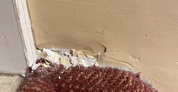 Thumbnail photo by Jan Cantley of Tri-State Area Movers