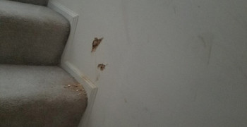 Second thumbnail photo by Kelly of Mega Moving Service