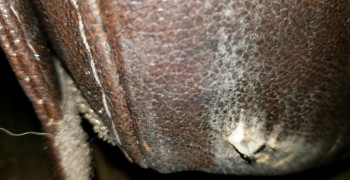 Thumbnail photo by Olga Mosher of California Relocation Systems LLC