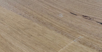 Second thumbnail photo by Jack Lb of CBD Movers AU