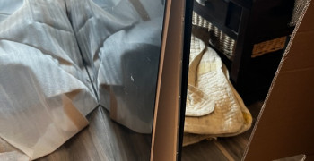 Thumbnail photo by Cannon Adderley of Carefree Movers Inc