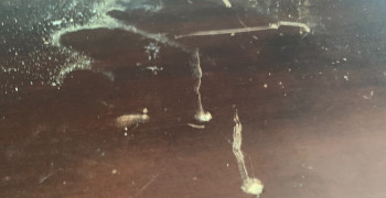 Second thumbnail photo by Joseph White of Pronto Moving & Storage Inc