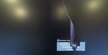 Thumbnail photo by Sarah Durso of Jet Moving And Storage