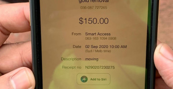 Thumbnail photo by Lisa Mark of Gold Removals