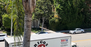 Thumbnail photo by Lauren M King of Rigos Moving Company