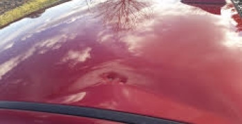 Thumbnail photo by Puneet of Car-Go Auto Transport
