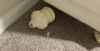 Thumbnail photo by Yulieisi Martinez of Two Man Moving LLC