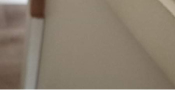 Thumbnail photo by Gladys Vasquez of Cardinal Van Lines