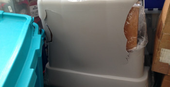 Thumbnail photo by Luisa Kotleba of Elite Moving & Storage