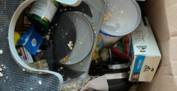 Second thumbnail photo by Ryan Giles of Cross Country Moving Group