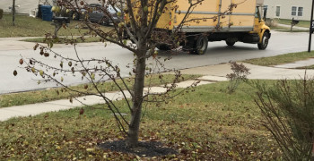 Thumbnail photo by Elizabeth Pelham of Best Interstate Moving and Storage