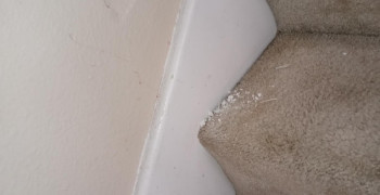 Thumbnail photo by Sandra Rodriguez of Samson Power Movers LLC