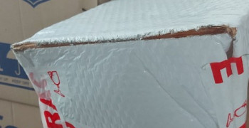 Thumbnail photo by Maria Makon of Pickfords