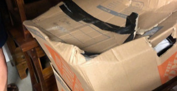 Thumbnail photo by Janice Hanrahan of Priceline Logistics LLC