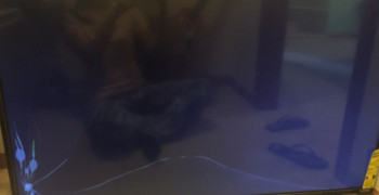 Second thumbnail photo by Rosa Ferreira of Two Men and a Truck