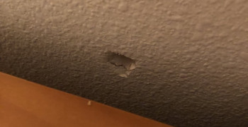 Thumbnail photo by Marissa Cruz of All My Sons Moving and Storage