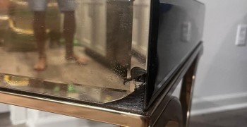 Thumbnail photo by Katina Marinakis Ossa of Value Added Moving