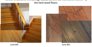 Second thumbnail photo by Kerry Watt of Dumbo Moving and Storage