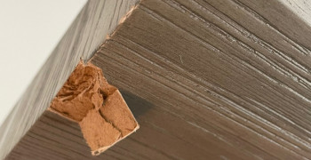 Thumbnail photo by Evelyn Hung of Shleppers Moving & Storage