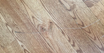 Thumbnail photo by Frank Pugliano of 24/7 Logistic Services