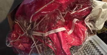 Thumbnail photo by Mark Mckay of Transnational Moving Systems