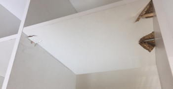 Thumbnail photo by Jessica Reynolds of International Van Lines