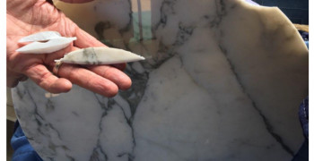 Thumbnail photo by Mary Jo Gensemer of Purple Heart Moving Group