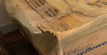 Thumbnail photo by Mackenzie Kelley of Best in Town Moving LLC