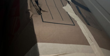 Thumbnail photo by Preya Samuel of Northern Elite Van Lines