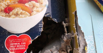 Thumbnail photo by Bhru Patel of Safeway Moving Systems