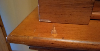 Thumbnail photo by Eileen Maroney of Coleman American Moving