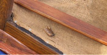 Thumbnail photo by Faye Garcia of Los Angeles Transfer and Storage