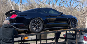 Thumbnail photo by Benjamin Dimapelis of Safeeds Transport Inc