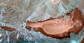 Second thumbnail photo by Dominique Sauvage of U Pack