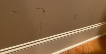 Second thumbnail photo by Gretchen Shay of Nationwide Moving Services Inc