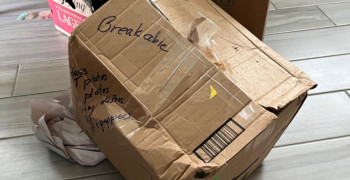 Second thumbnail photo by Mary Coughlin of Safebound Moving & Storage