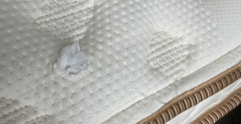 Thumbnail photo by Maiken Pickton of SH Movers Inc