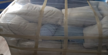 Thumbnail photo by Brenae Gamble of Green Line Relocation and Systems