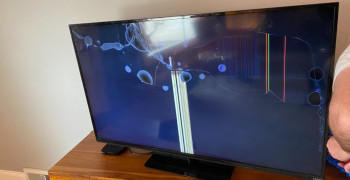 Thumbnail photo by Megan Weeber of Safeway Moving Systems