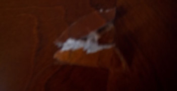 Thumbnail photo by Linda Brooks of Britannia Movers International