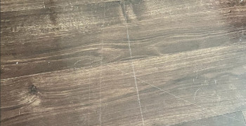 Second thumbnail photo by Jaelynn Grace Ortiz of Mayzlin Relocation LLC 