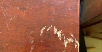 Thumbnail photo by Joseph White of Pronto Moving & Storage Inc