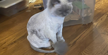 Thumbnail photo by Mark Slay of All My Sons Moving and Storage