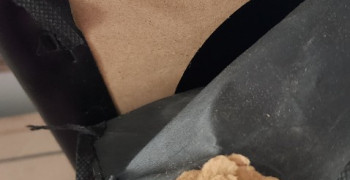 Second thumbnail photo by Susan Carnahan of M & D Pro Movers LLC