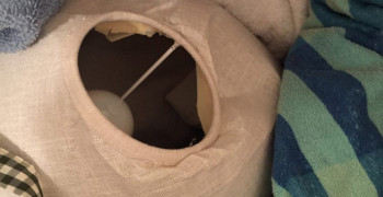 Second thumbnail photo by Lynn of Superior Moving Systems Inc