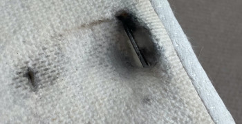 Second thumbnail photo by Andrea Staby of Moving Staffers